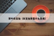 茶叶白玉仙（白玉仙茶是什么茶类）